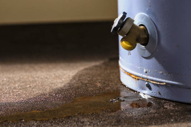 Best Water damage contractors near me  in Lexington, MO