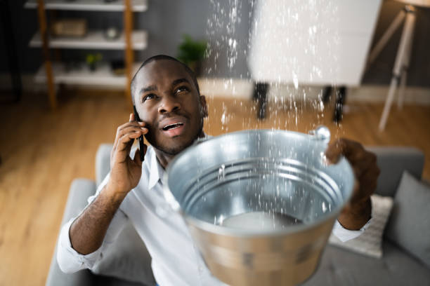 Best Carpet water damage restoration  in Lexington, MO