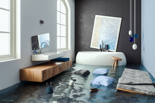 Best Flooded house restoration  in Lexington, MO