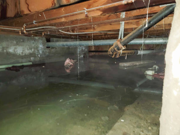 Best Water damage restoration near me  in Lexington, MO
