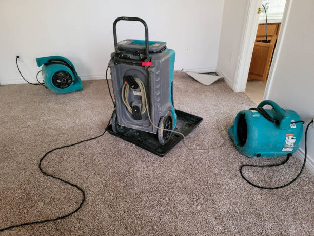 Best Ceiling water damage repair  in Lexington, MO