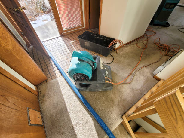Best Flood damage cleanup  in Lexington, MO