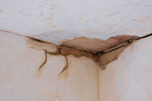 Best Basement water damage restoration  in Lexington, MO