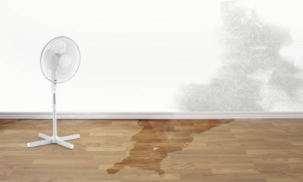 Best Sewage cleanup and water damage restoration  in Lexington, MO