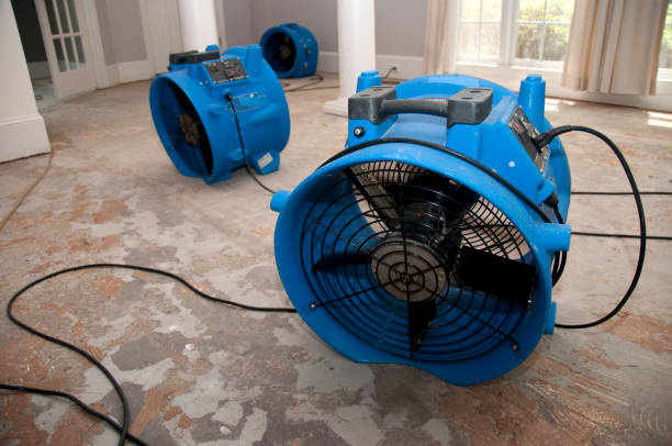 Best Fire Damage Restoration  in Lexington, MO