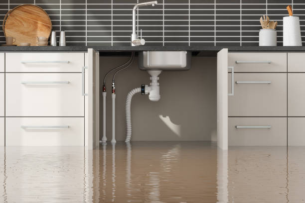 Best Commercial water damage restoration  in Lexington, MO