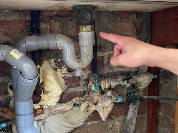 Best Water damage restoration near me  in Lexington, MO